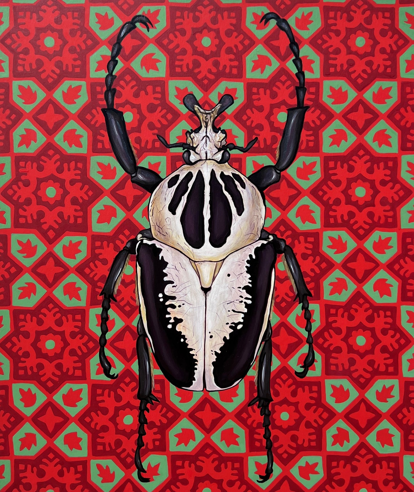 Black and White Beetle