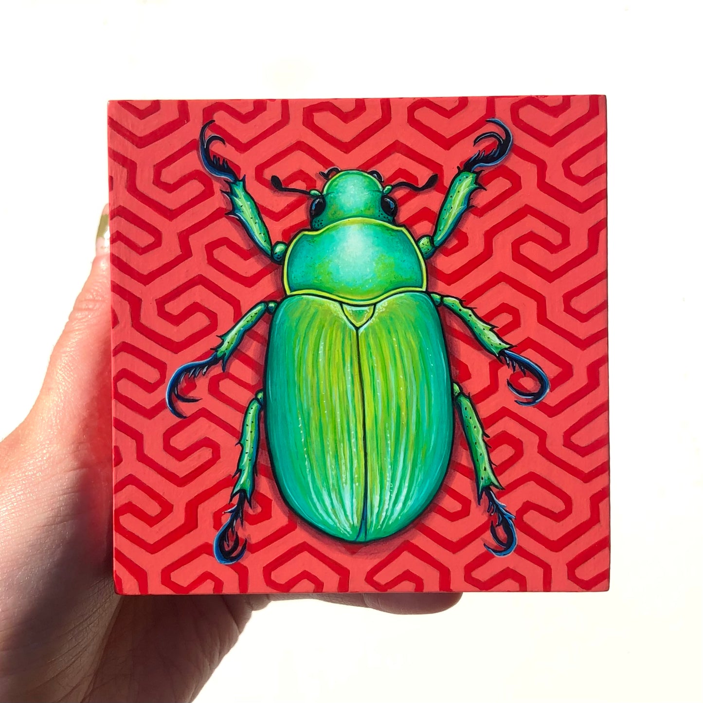 Scarab