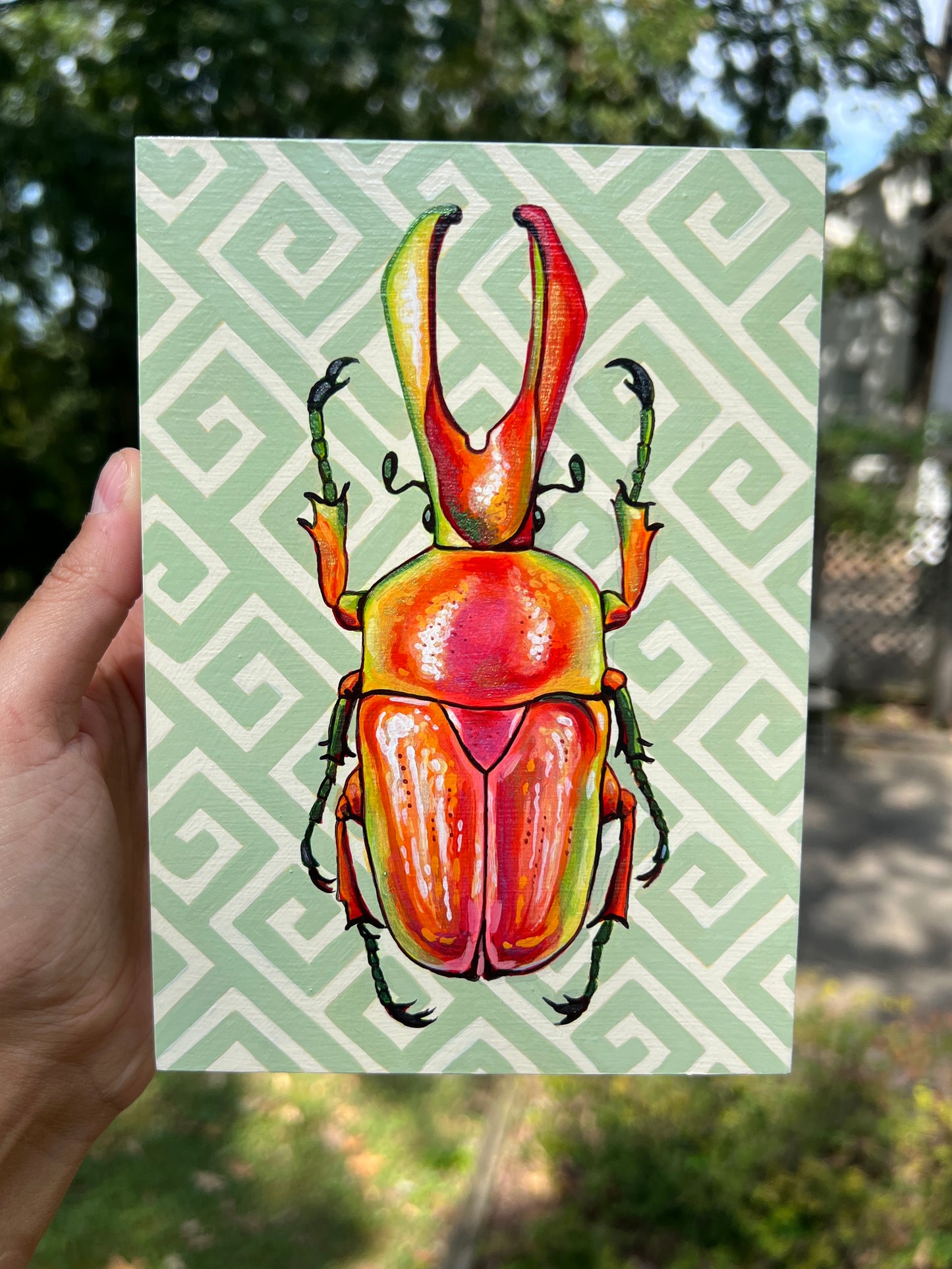 Greek Key Beetle