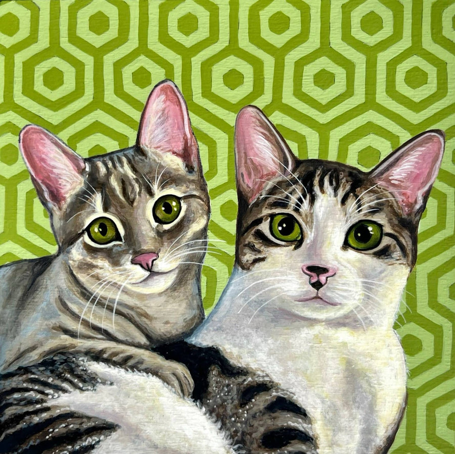 Pet portraits