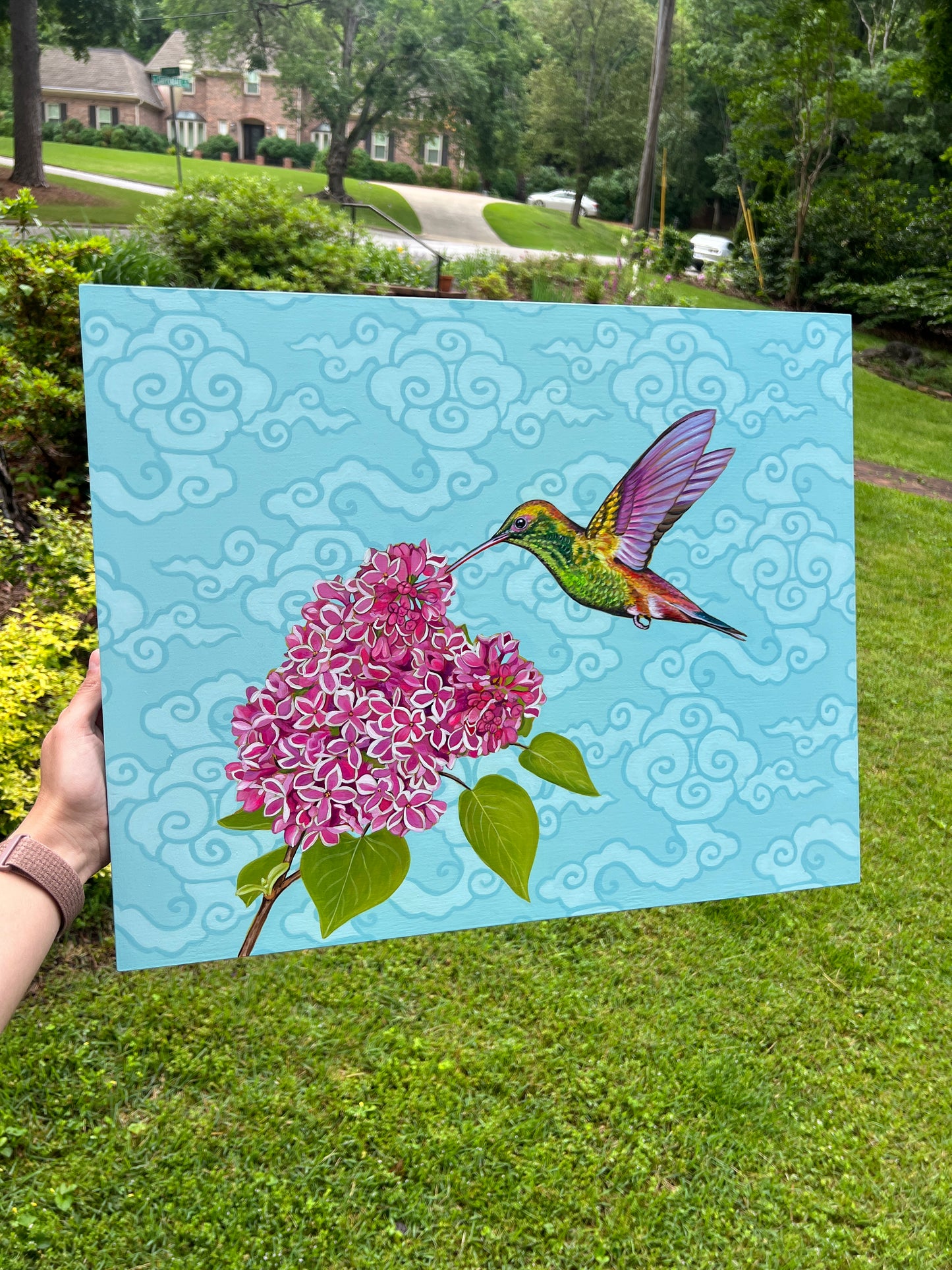 Hummingbird Haven