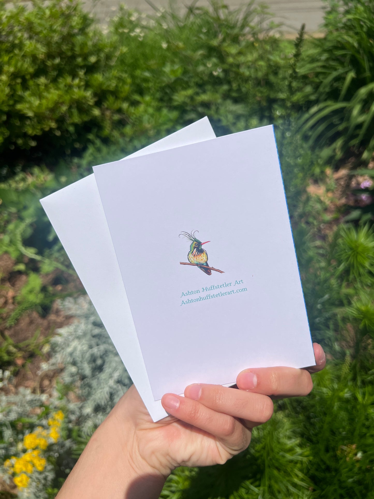 The Garden notecard pack