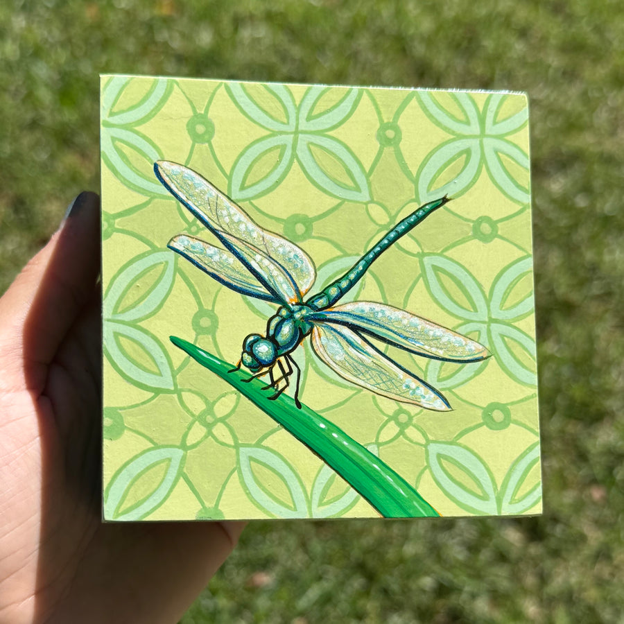 Dragonfly