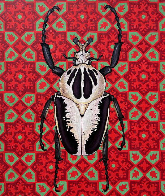 Black and White Beetle