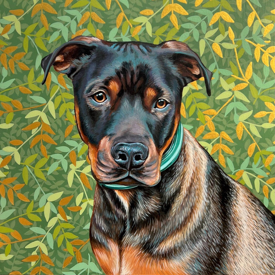 Camo, commission