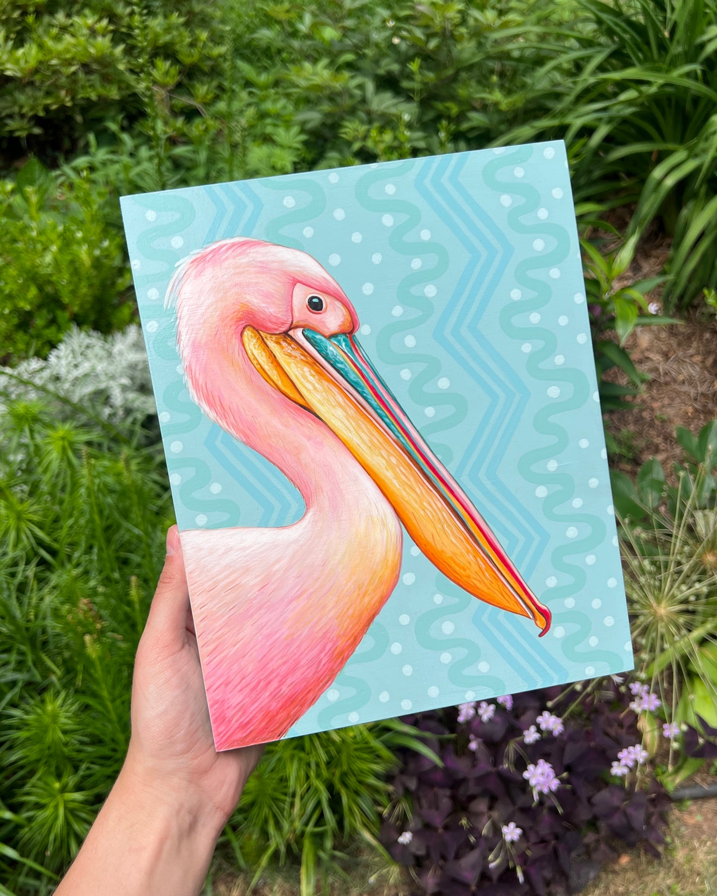 Pelican pink